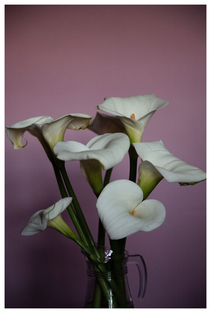 calas-3